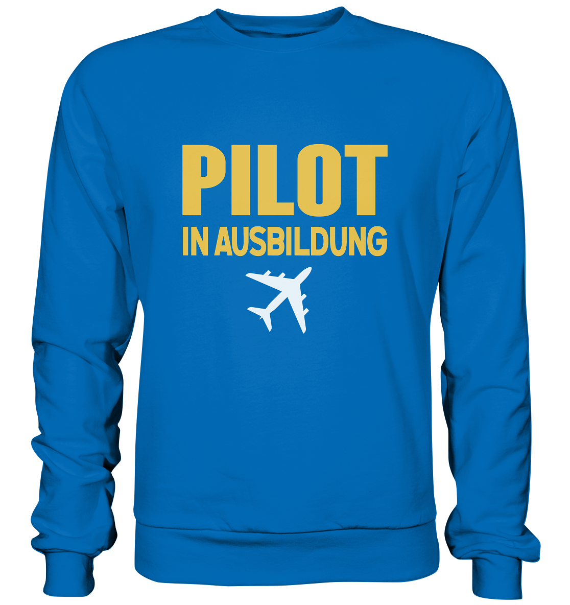 IN AUSBILDUNG - Basic Sweatshirt